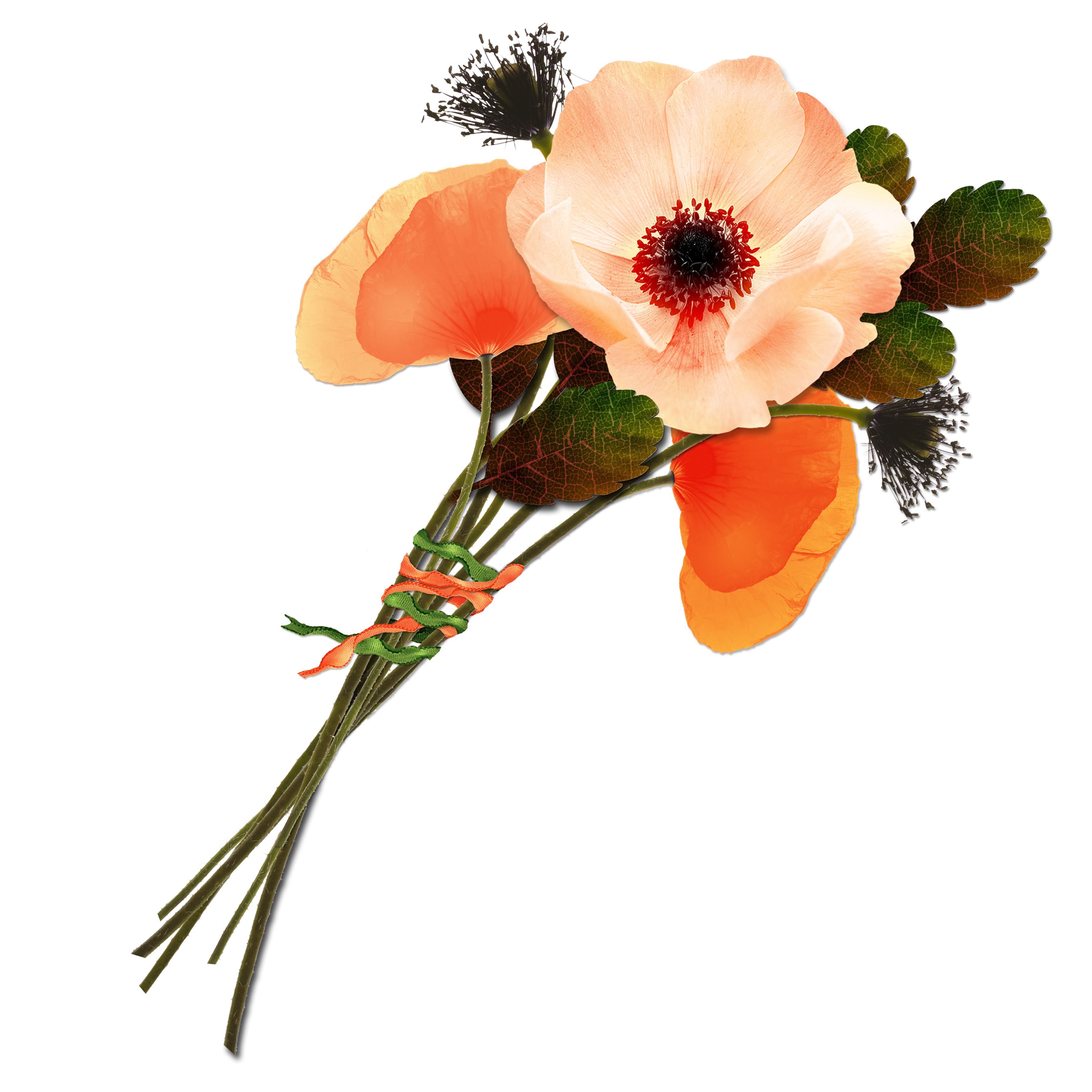 PNG Creative Floral Image (13)