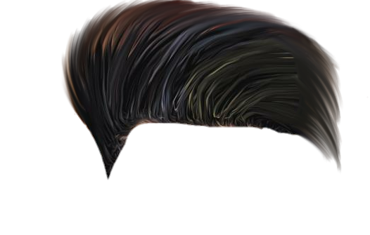 PNG Hair Cut Style Hair Replacement (1)