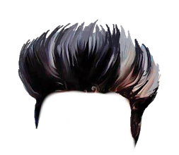 PNG Hair Cut Style Hair Replacement (1)