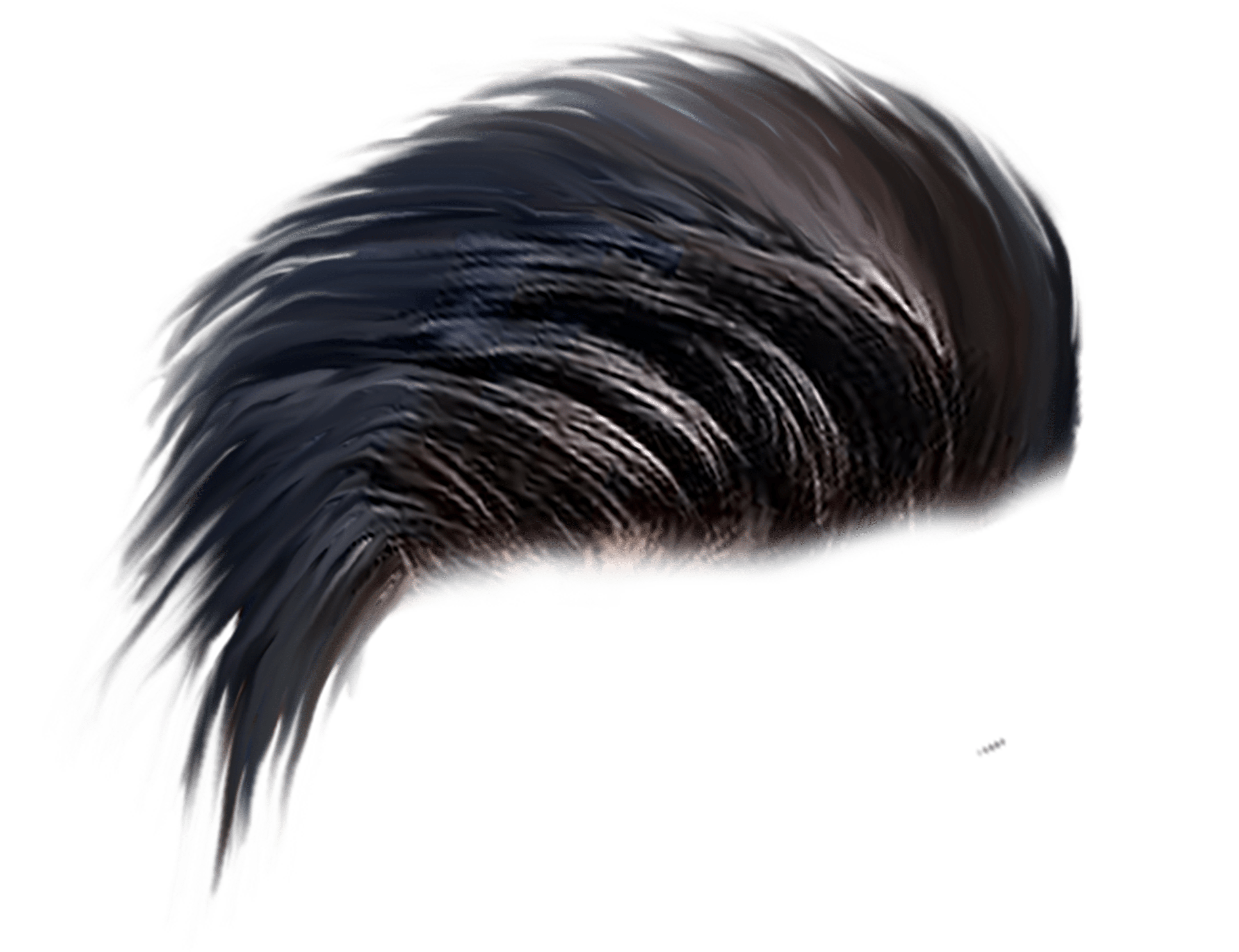 PNG Hair Cut Style Hair Replacement (14)