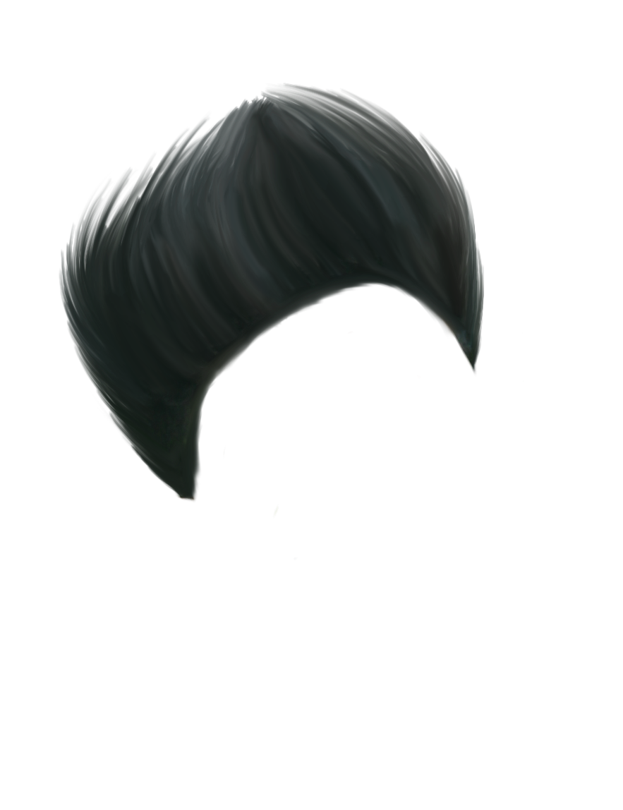 PNG Hair Cut Style Hair Replacement (15)