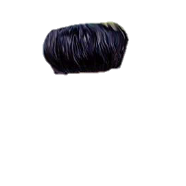 PNG Hair Cut Style Hair Replacement (25)