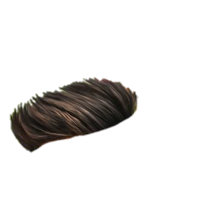 PNG Hair Cut Style Hair Replacement (27)