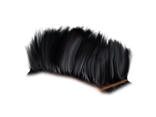 PNG Hair Cut Style Hair Replacement (32)