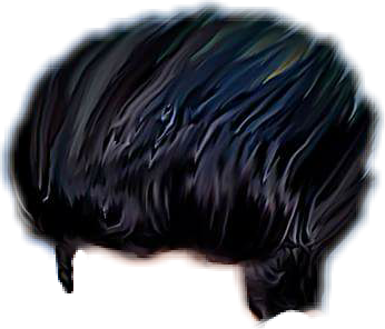 PNG Hair Cut Style Hair Replacement (45)