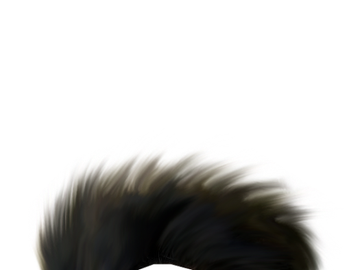 PNG Hair Cut Style Hair Replacement (54)