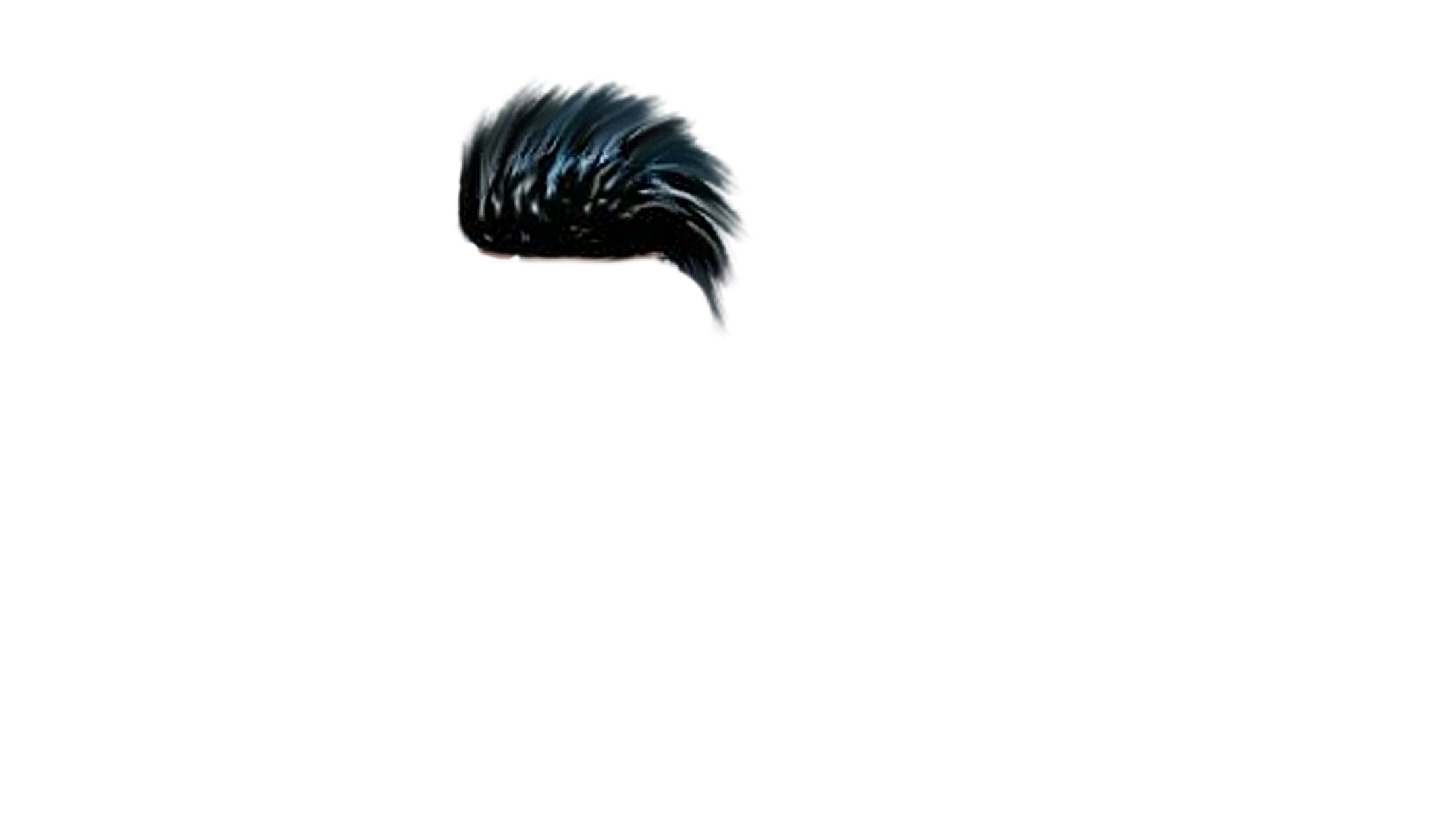 PNG Hair Cut Style Hair Replacement (75)