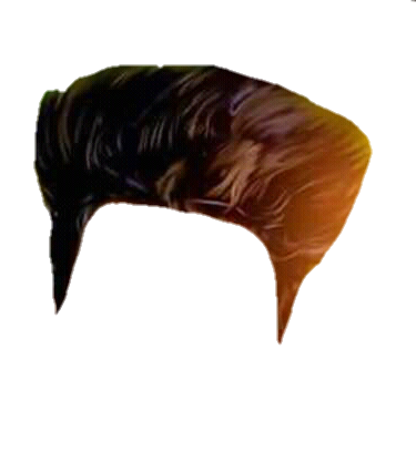 PNG Hair Cut Style Hair Replacement (77)