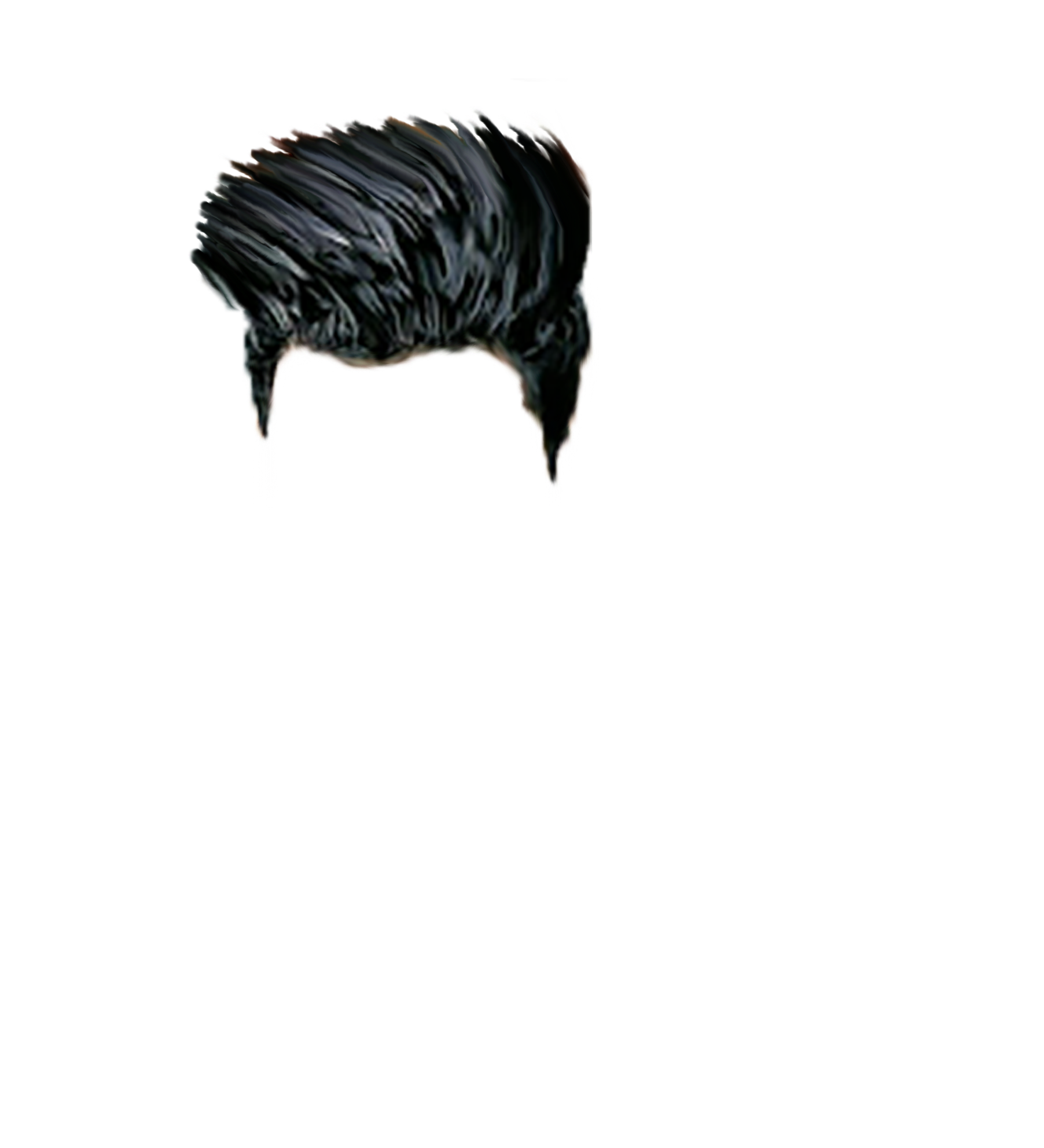 PNG Hair Cut Style Hair Replacement (85)