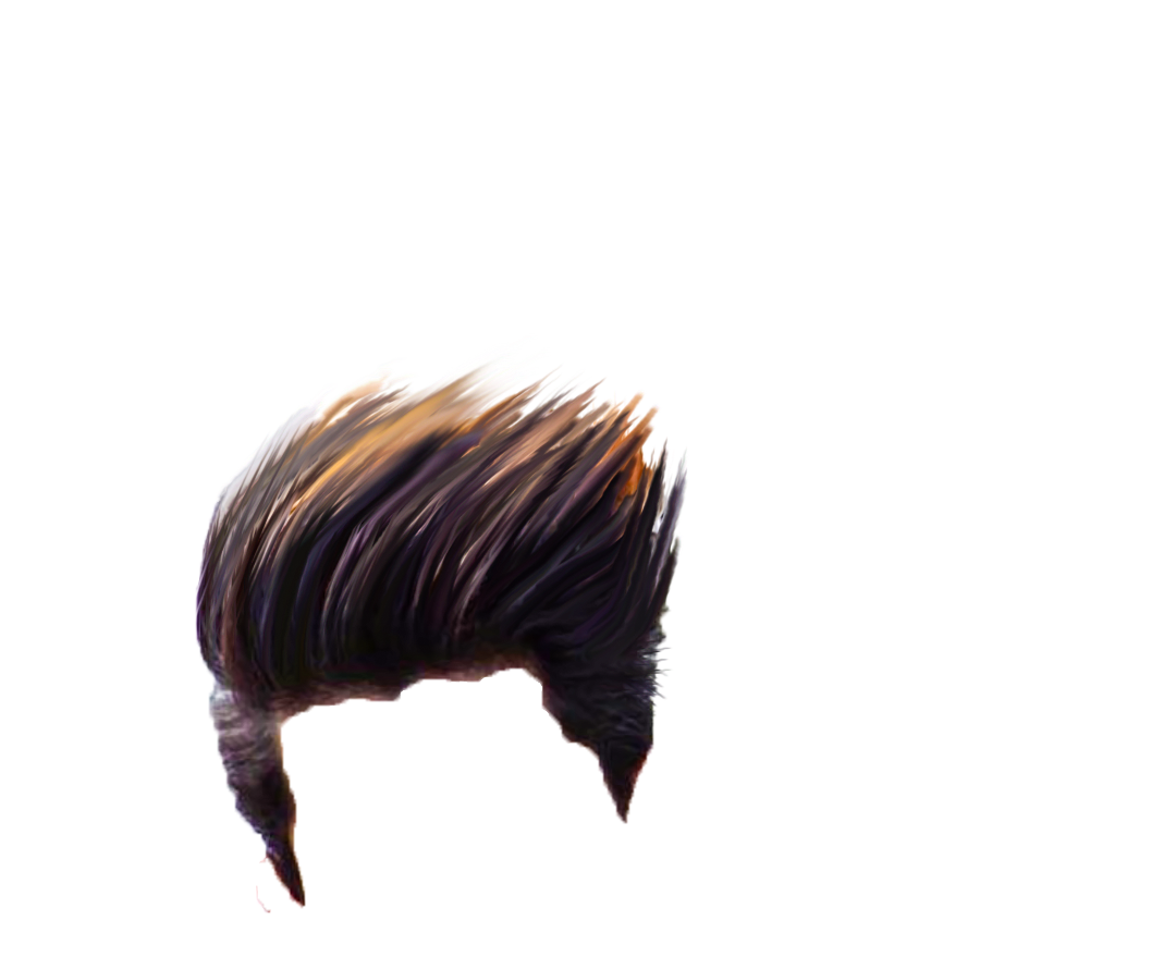PNG Hair Cut Style Hair Replacement (89)
