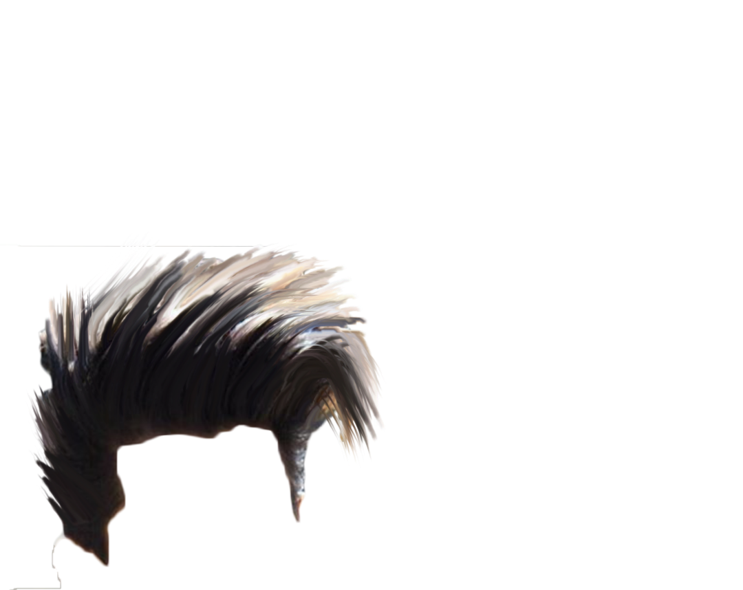 PNG Hair Cut Style Hair Replacement (92)