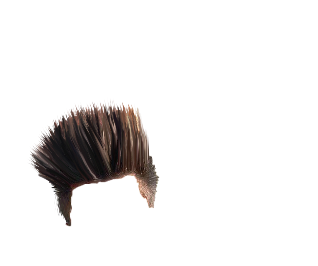 PNG Hair Cut Style Hair Replacement (94)