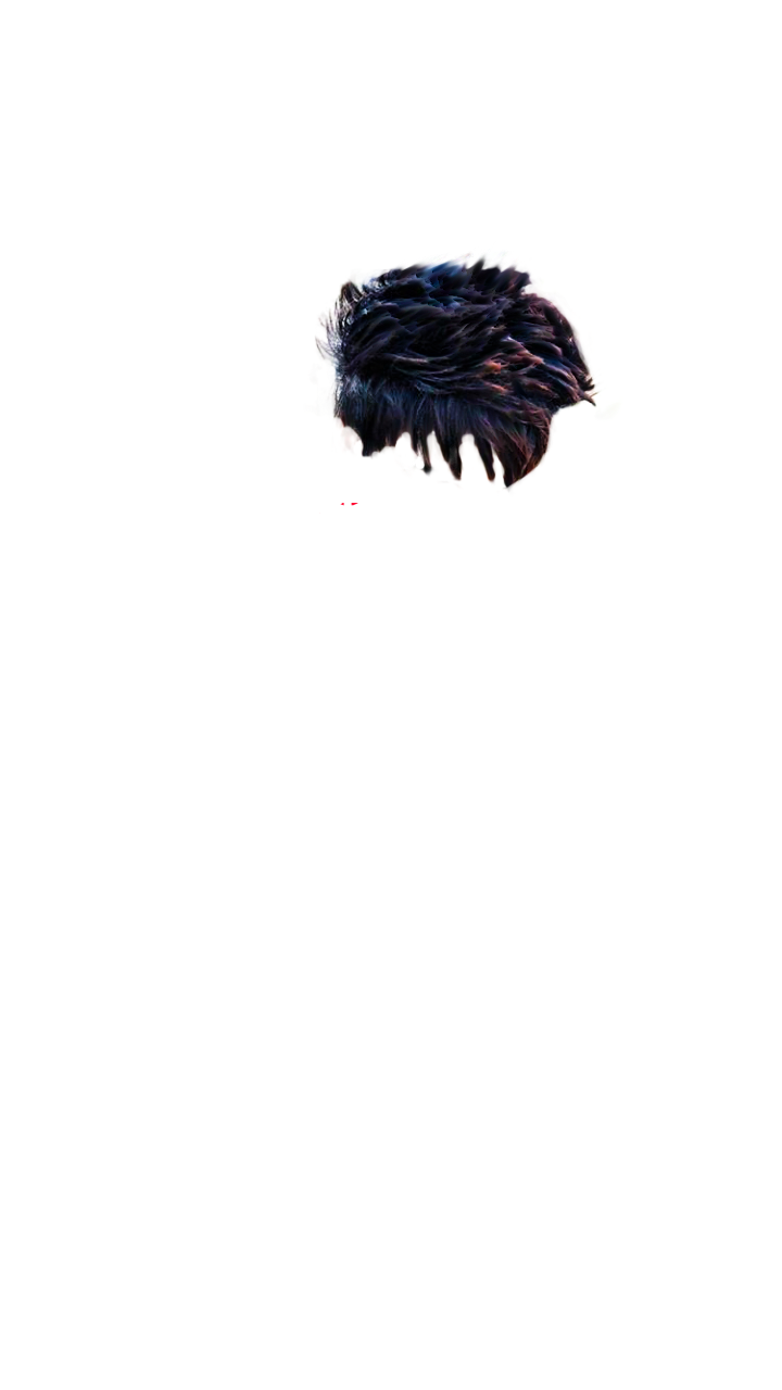 PNG Hair Cut Style Hair Replacement (98)