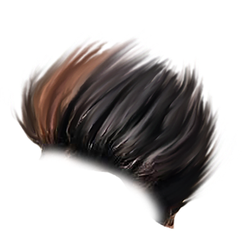 PNG Hair Cut Style Hair Replacement (105)