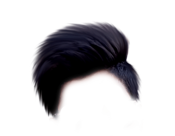PNG Hair Cut Style Hair Replacement (114)
