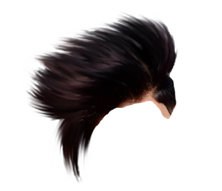 PNG Hair Cut Style Hair Replacement (116)