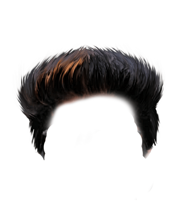 PNG Hair Cut Style Hair Replacement (118)