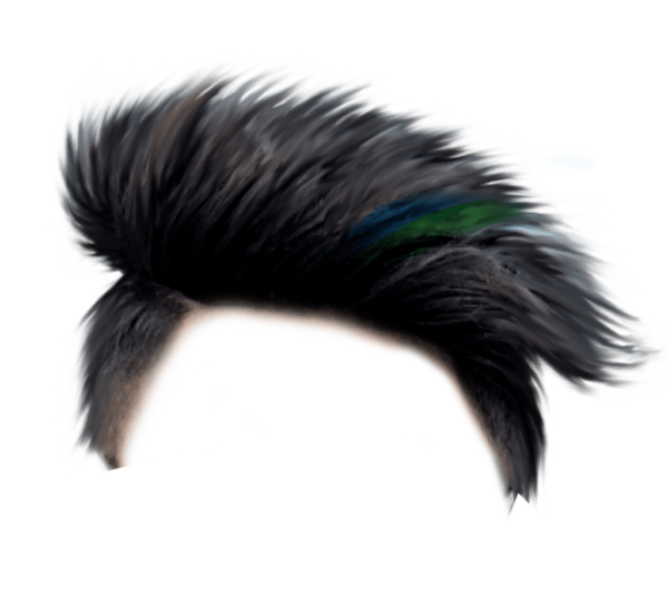 PNG Hair Cut Style Hair Replacement (119)