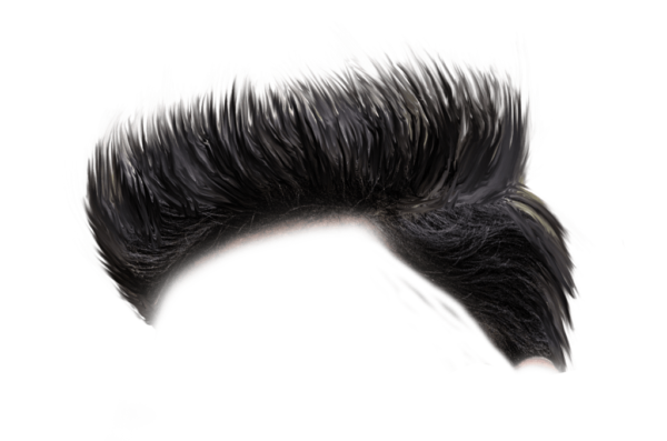 PNG Hair Cut Style Hair Replacement (120)