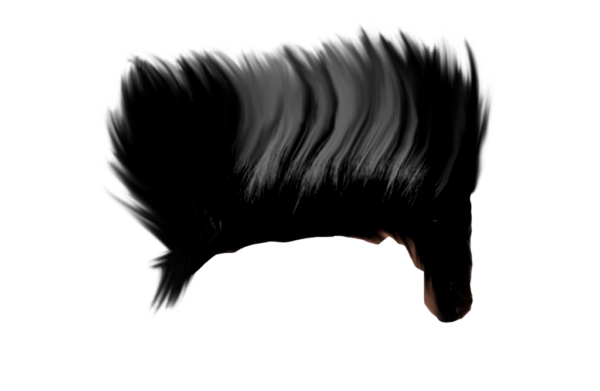 PNG Hair Cut Style Hair Replacement (123)