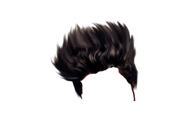 PNG Hair Cut Style Hair Replacement (124)