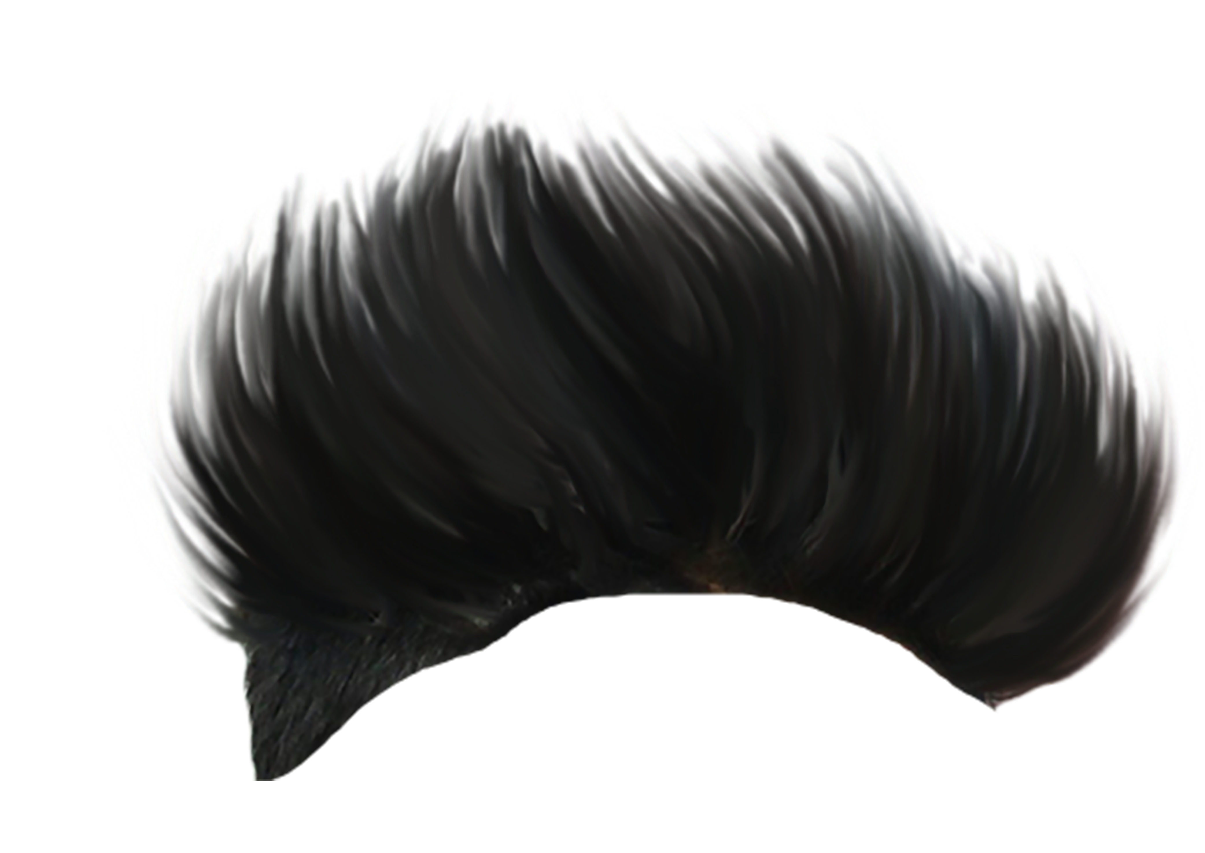 PNG Hair Cut Style Hair Replacement (129)