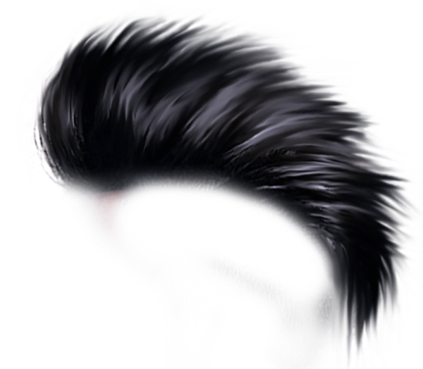 PNG Hair Cut Style Hair Replacement (131)