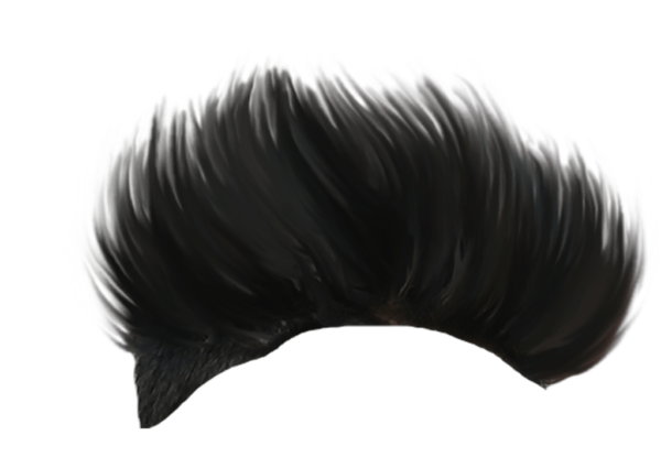 PNG Hair Cut Style Hair Replacement (132)