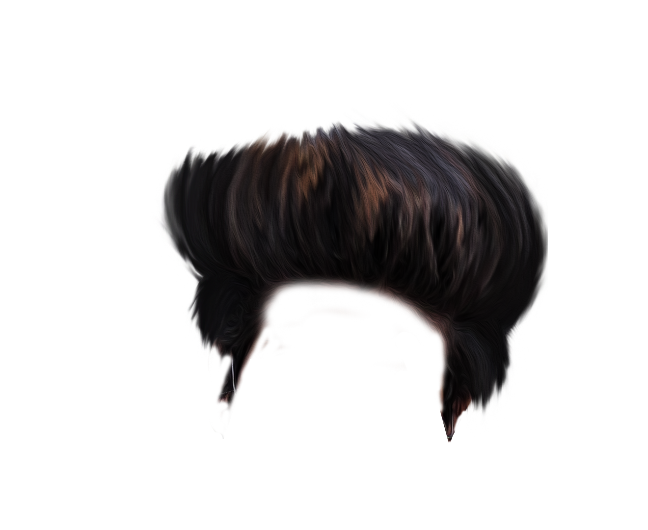 PNG Hair Cut Style Hair Replacement (134)