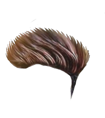PNG Hair Cut Style Hair Replacement (135)