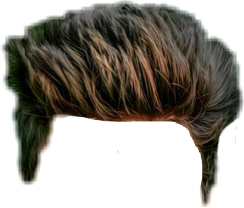 PNG Hair Cut Style Hair Replacement (138)