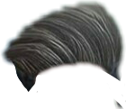 PNG Hair Cut Style Hair Replacement (139)