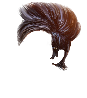 PNG Hair Cut Style Hair Replacement (141)