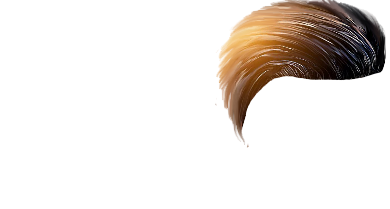 PNG Hair Cut Style Hair Replacement (143)