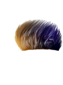 PNG Hair Cut Style Hair Replacement (146)