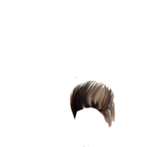 PNG Hair Cut Style Hair Replacement (149)
