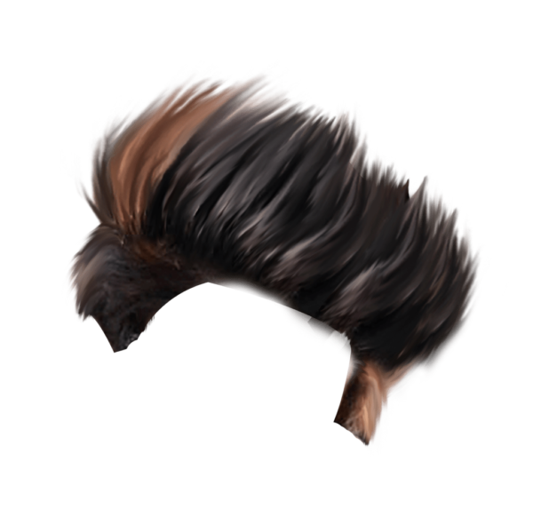 PNG Hair Cut Style Hair Replacement (161)