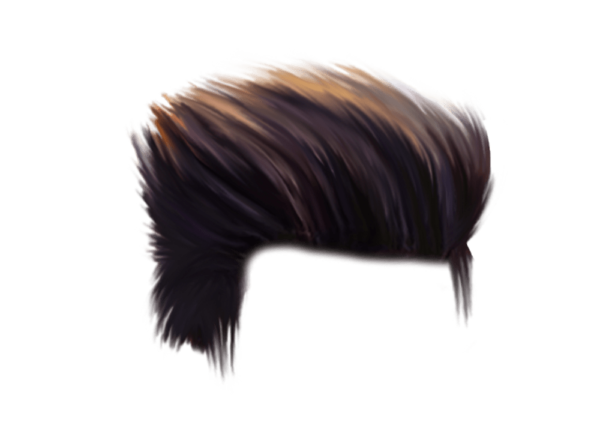 PNG Hair Cut Style Hair Replacement (163)