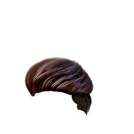 PNG Hair Cut Style Hair Replacement (166)