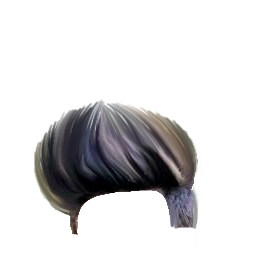 PNG Hair Cut Style Hair Replacement (170)