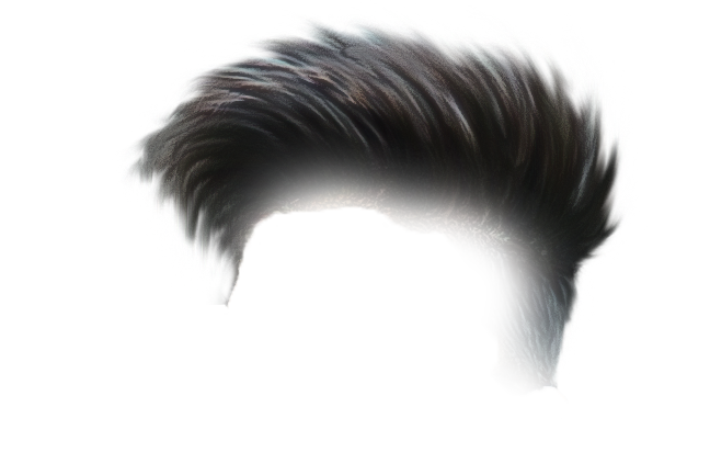 PNG Hair Cut Style Hair Replacement (172)