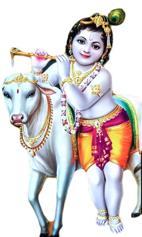 Krishna PNG Image Element (34)