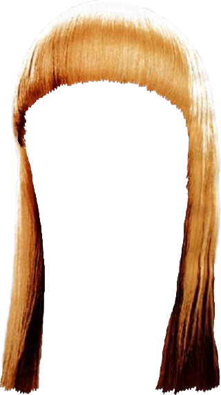 Women False Hair PNG Makeup Element (7)