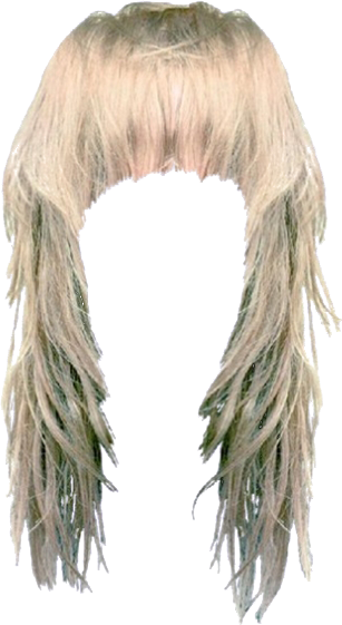 Women False Hair PNG Makeup Element (17)