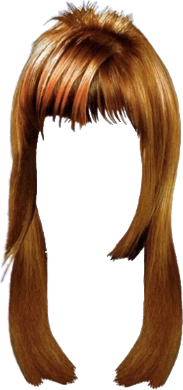 Women False Hair PNG Makeup Element (19)
