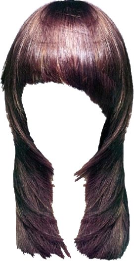Women False Hair PNG Makeup Element (21)