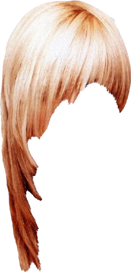 Women False Hair PNG Makeup Element (22)