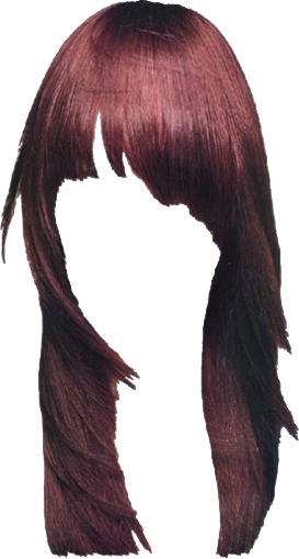 Women False Hair PNG Makeup Element (23)