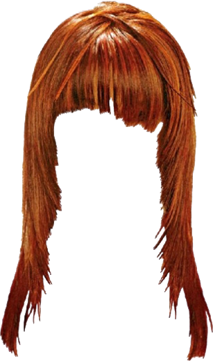 Women False Hair PNG Makeup Element (29)