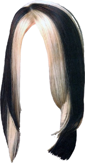 Women False Hair PNG Makeup Element (30)